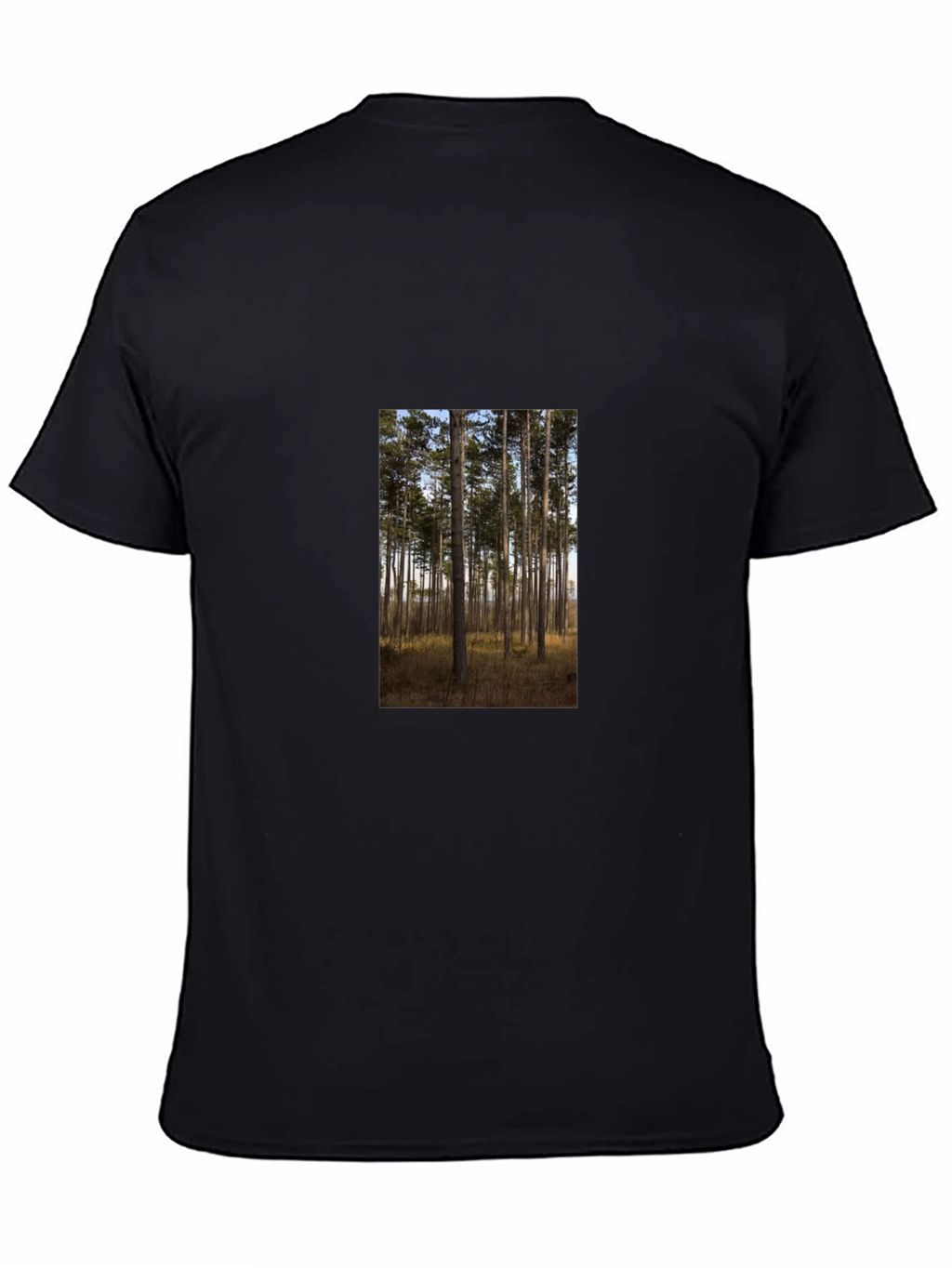 Nature Scene Graphic Tee - Black Cotton Shirt