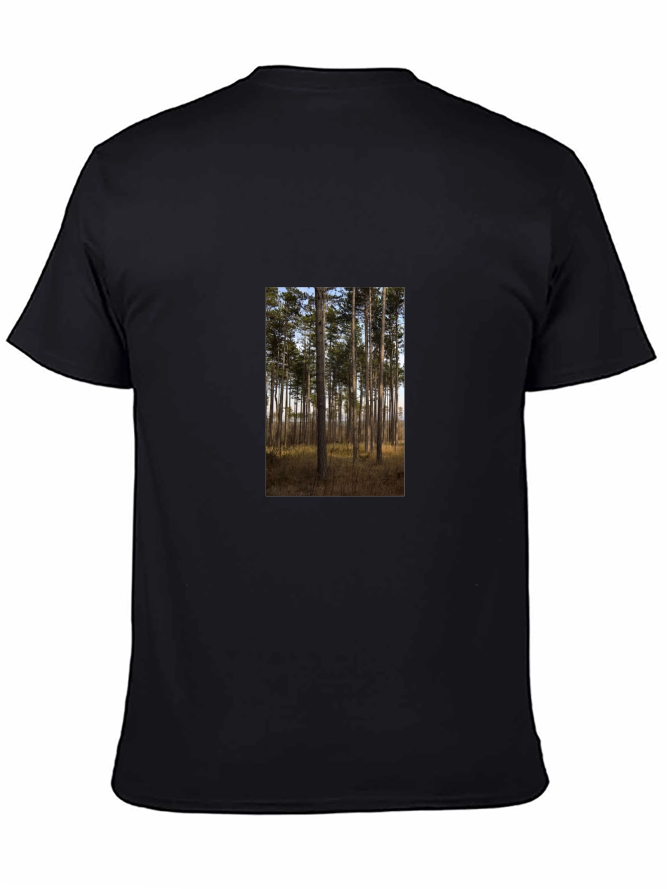 Nature Scene Graphic Tee - Black Cotton Shirt