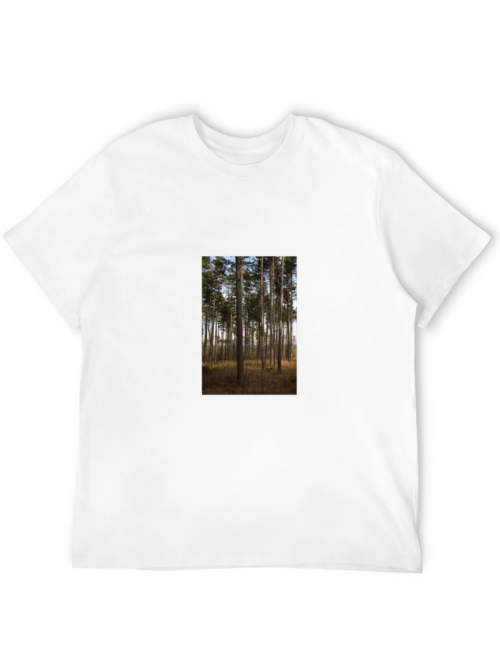 Nature Scene Graphic Tee - Black Cotton Shirt
