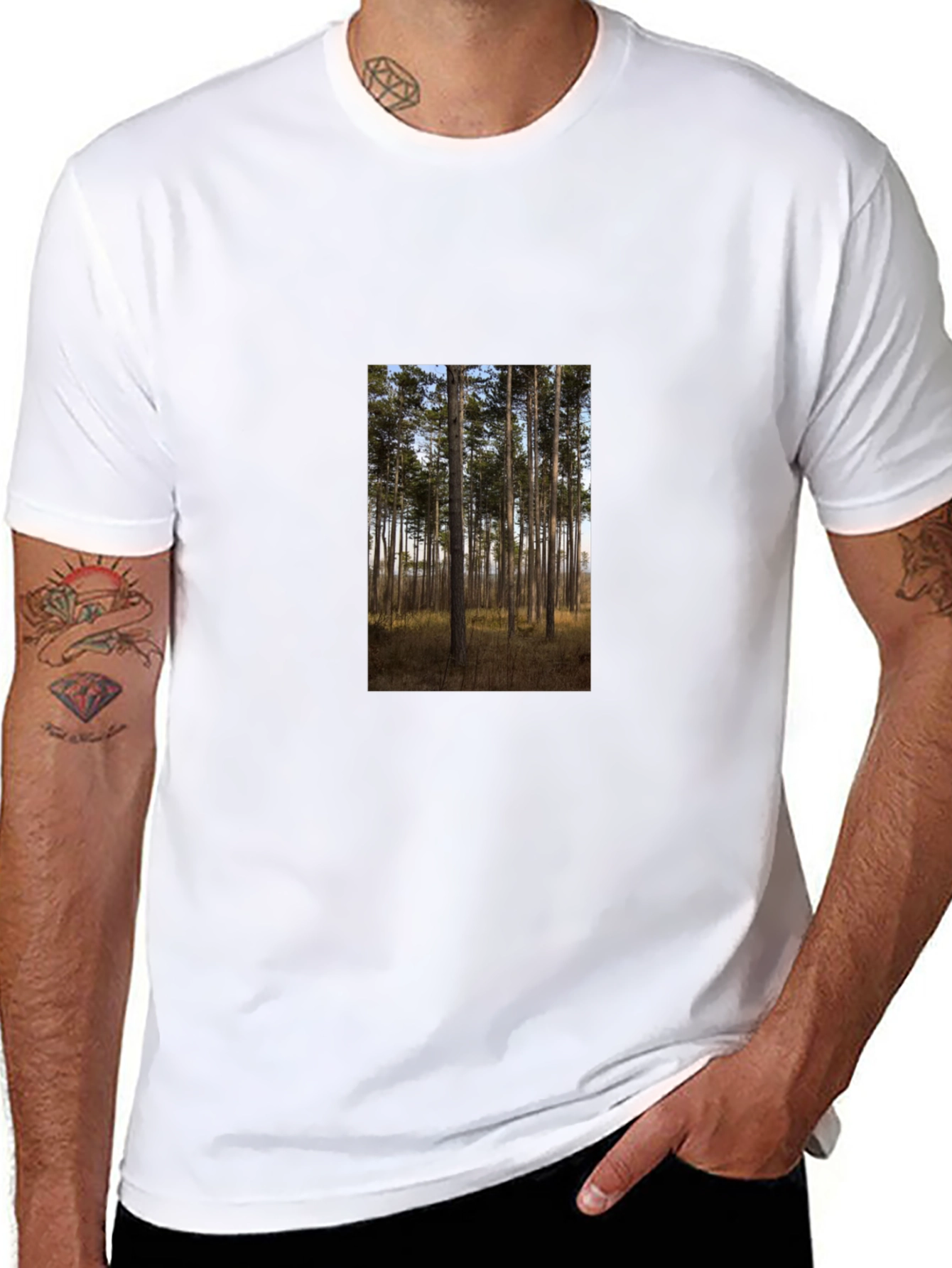 Nature Scene Graphic Tee - Black Cotton Shirt