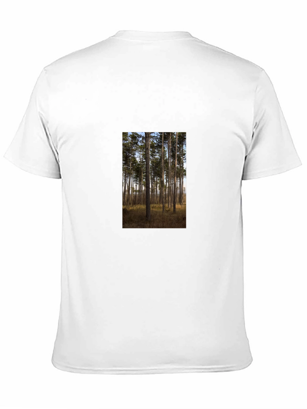 Nature Scene Graphic Tee - Black Cotton Shirt