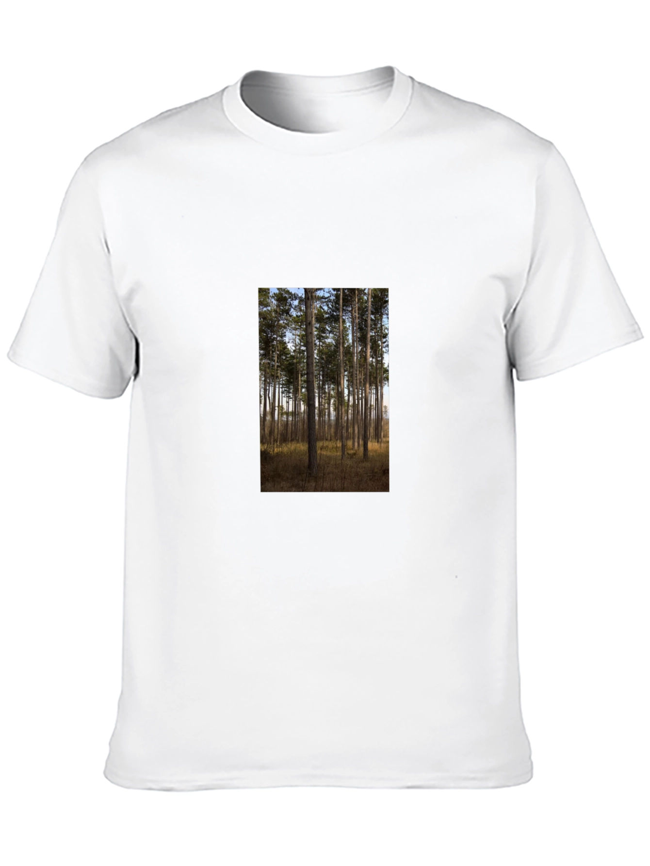 Nature Scene Graphic Tee - Black Cotton Shirt
