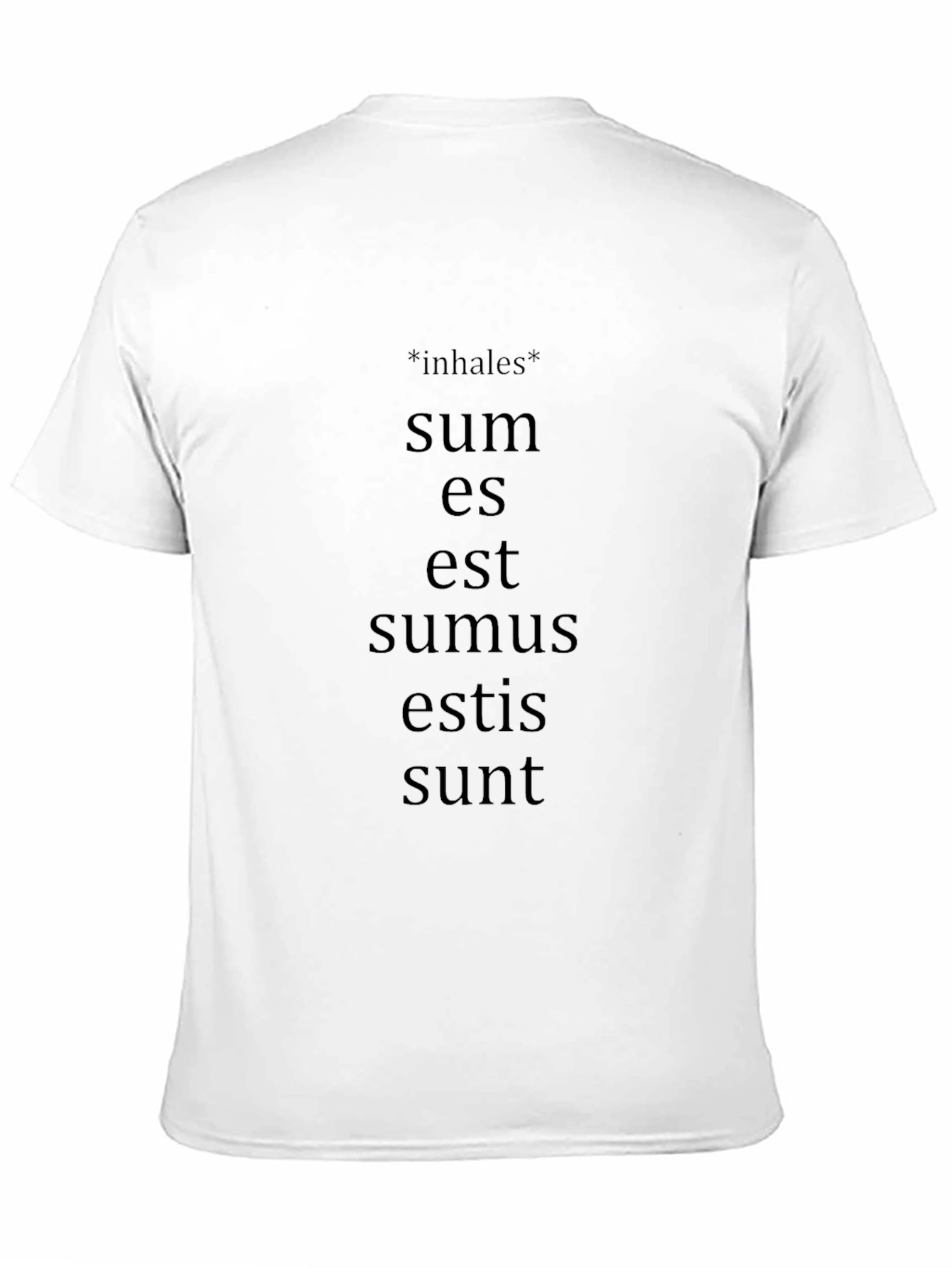 Latin Verb Conjugation T-Shirt - Grammar Humor Tee