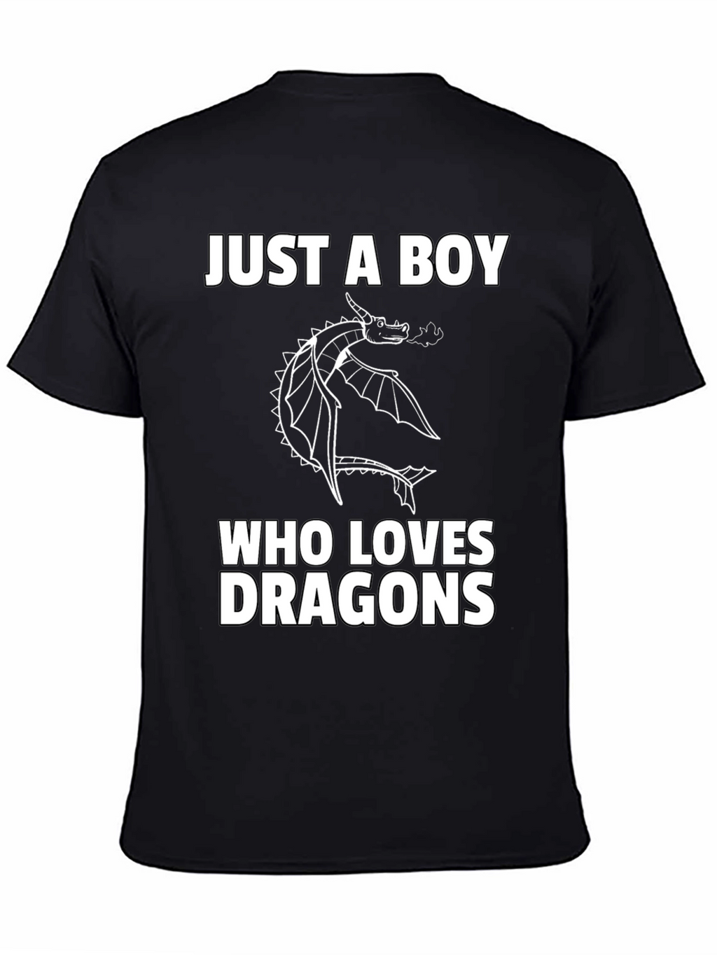 Boy Dragon Lover Graphic T-Shirt