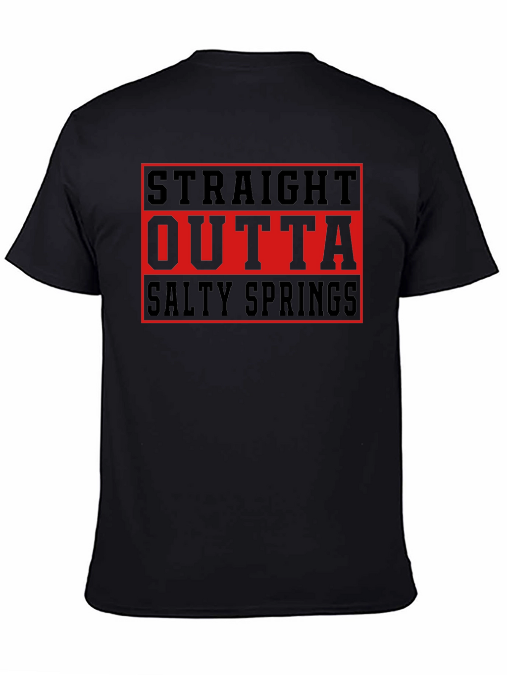 Straight Outta Salty Springs T-Shirt