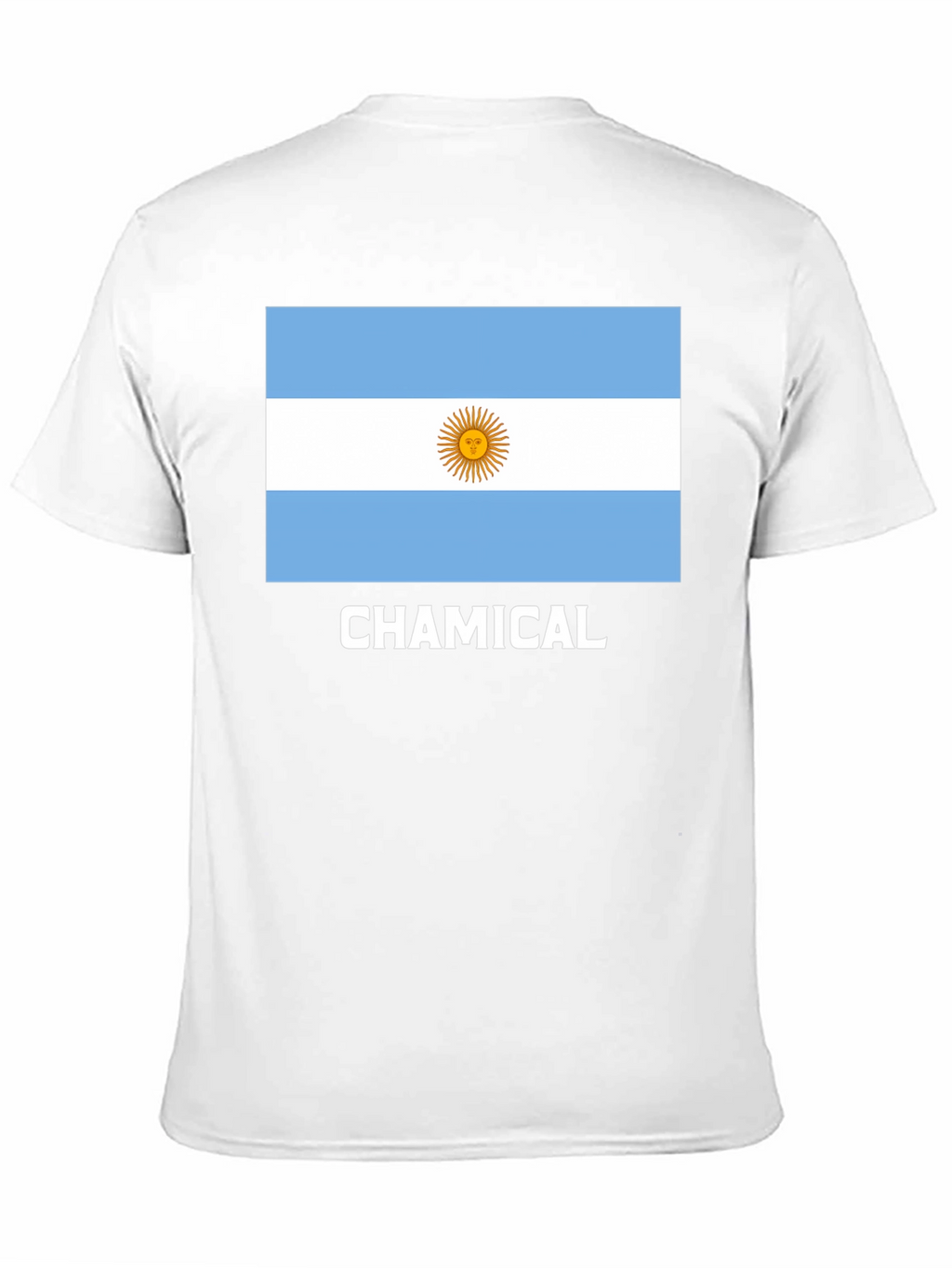 Argentina Flag CHAMICAL T-Shirt