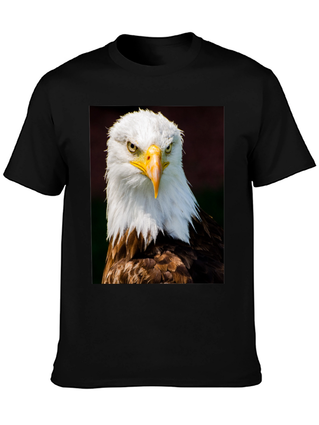 Eagle Graphic T-Shirt - Bold Bird of Prey Design