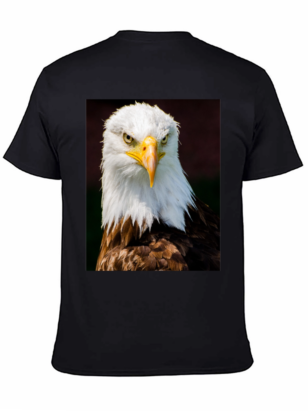 Eagle Graphic T-Shirt - Bold Bird of Prey Design