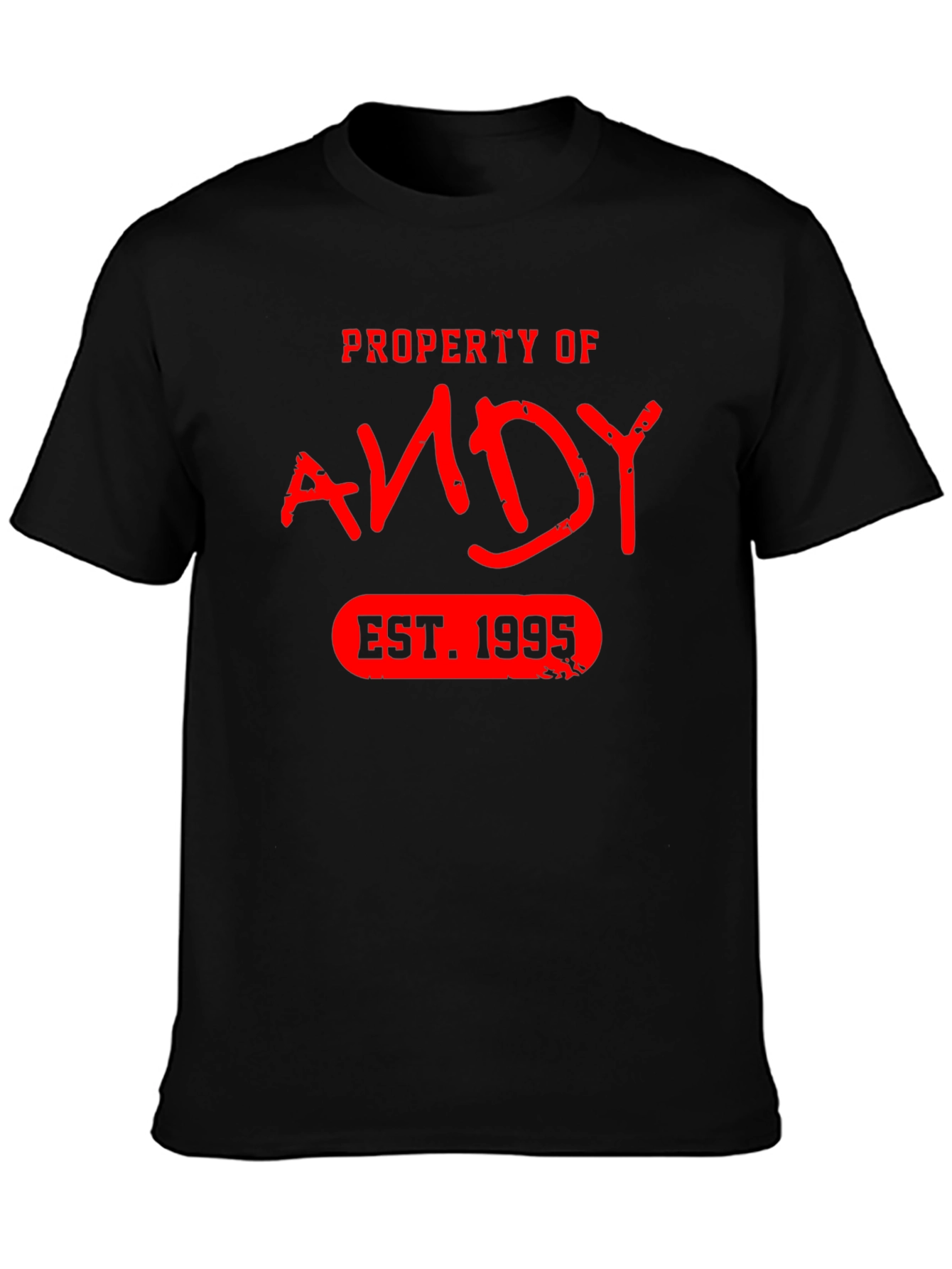 Property of Andy EST. 1995 T-Shirt