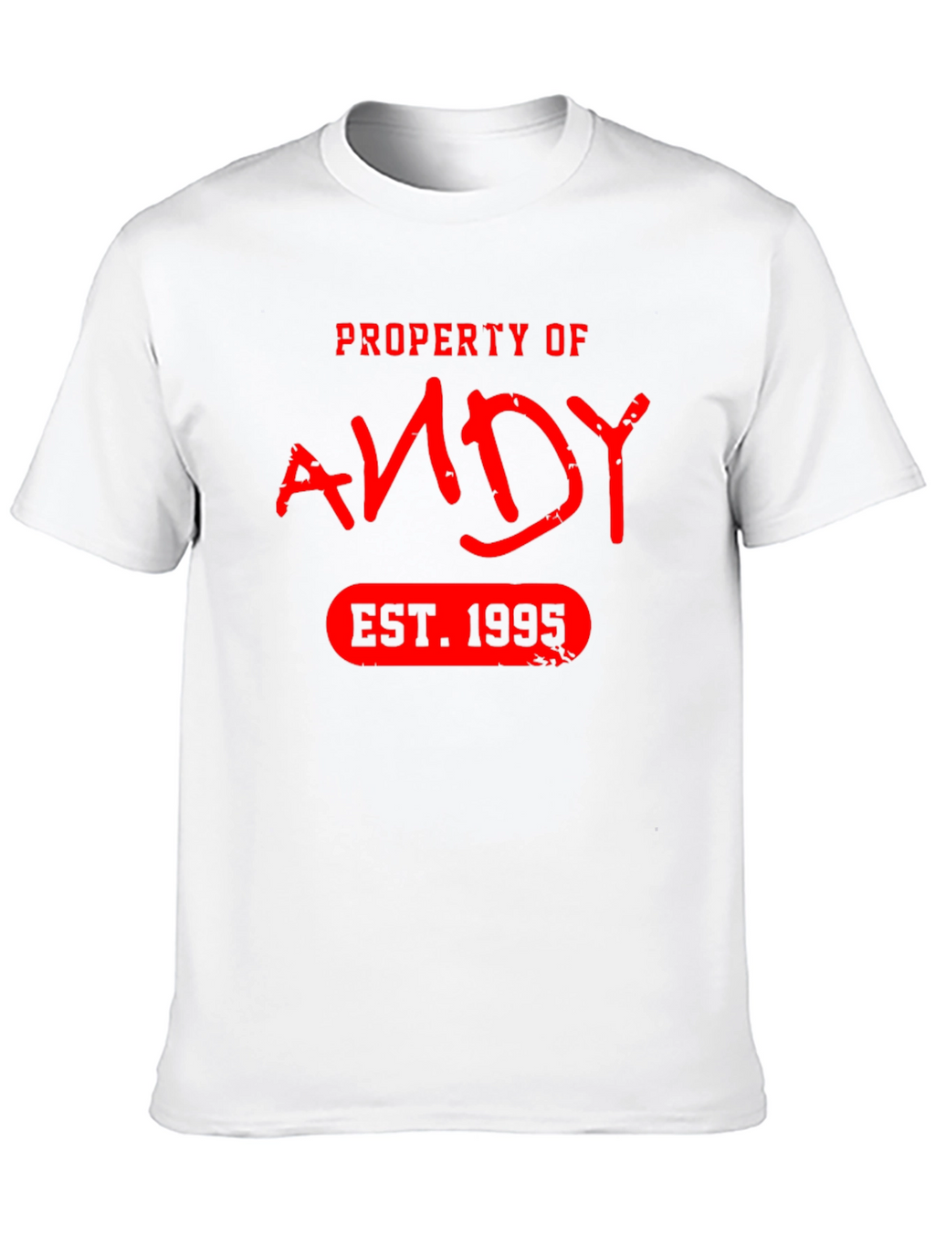 Property of Andy EST. 1995 T-Shirt