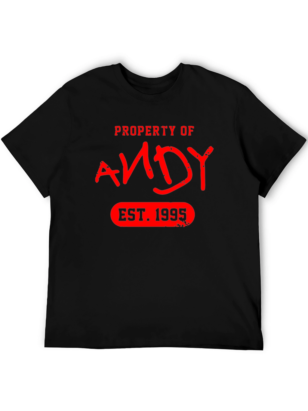 Property of Andy EST. 1995 T-Shirt