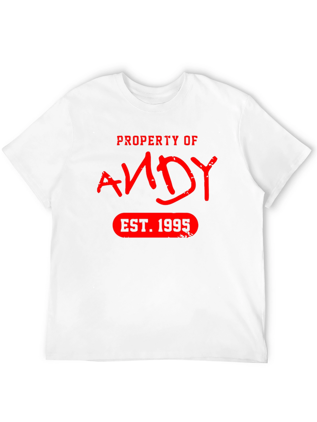 Property of Andy EST. 1995 T-Shirt