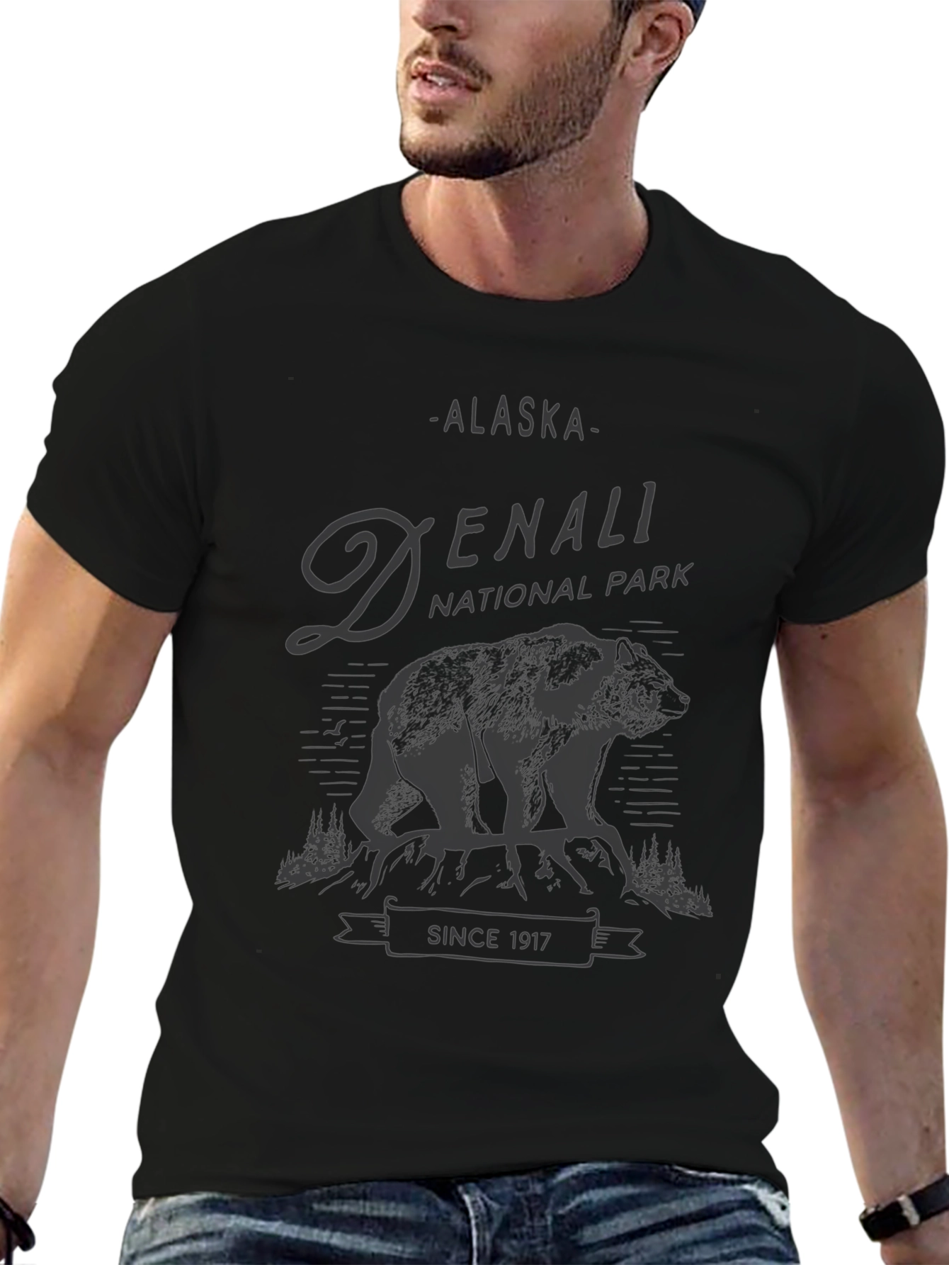 Denali National Park T-Shirt - Alaska Adventure