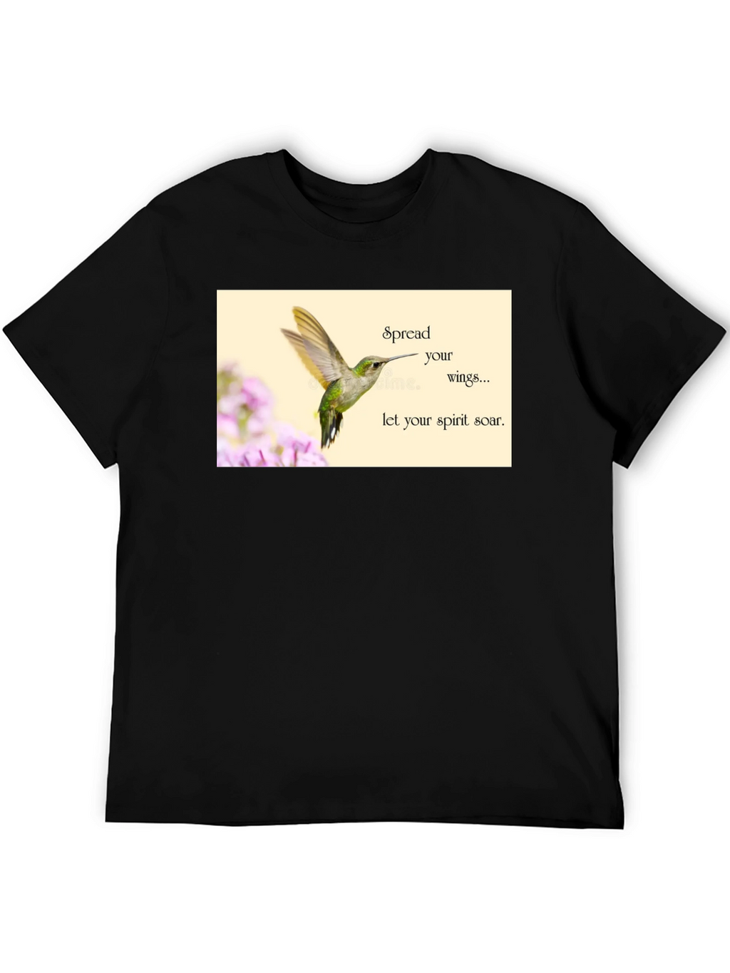 Hummingbird Spirit Soar T-Shirt