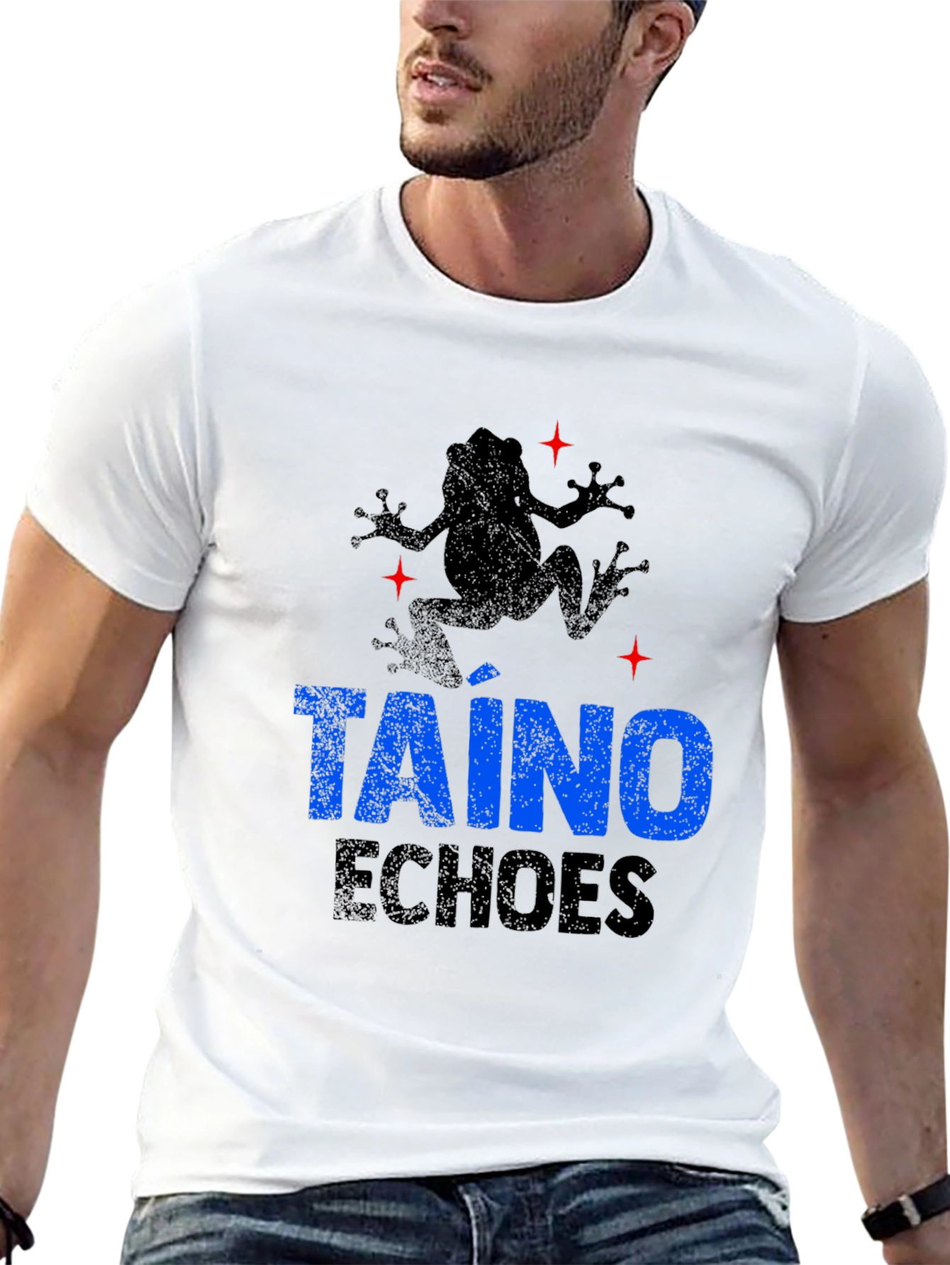 Taino Echoes Mens Black Graphic T-Shirt