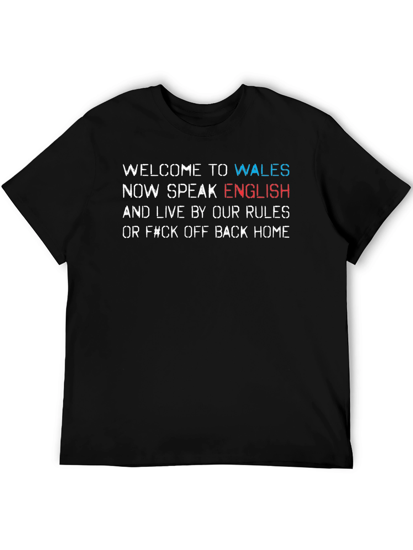 Wales T-Shirt: Speak English or Go Home