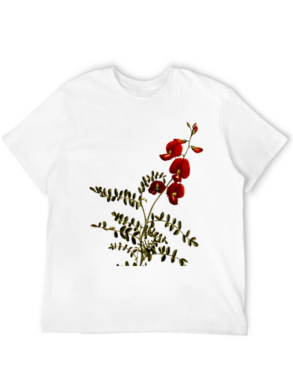 Botanical Print Black T-Shirt