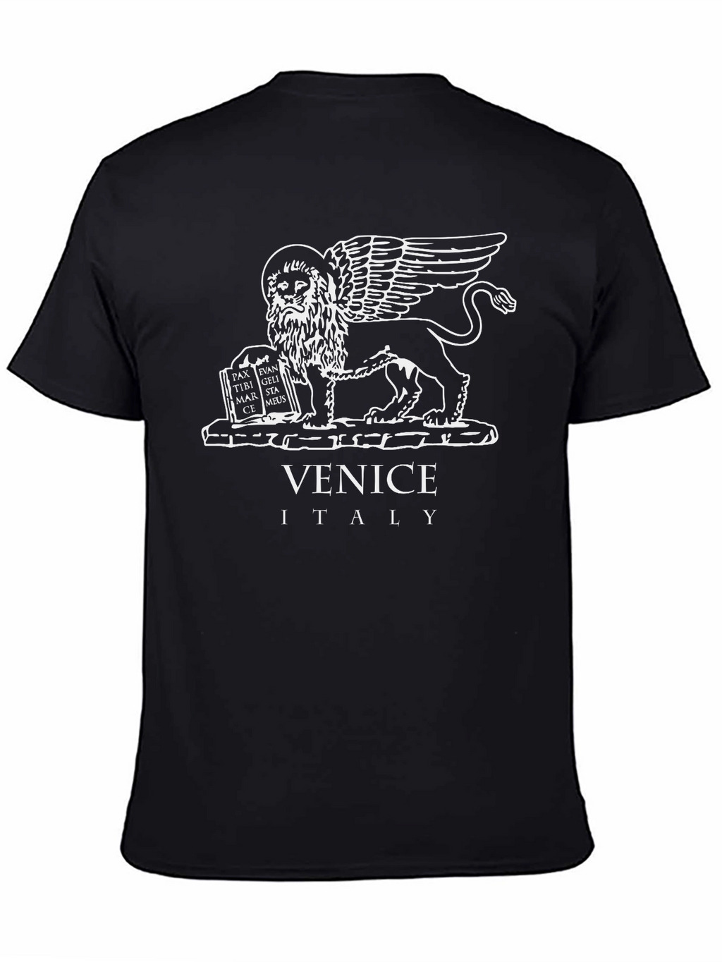 Venice Italy Lion Graphic T-Shirt